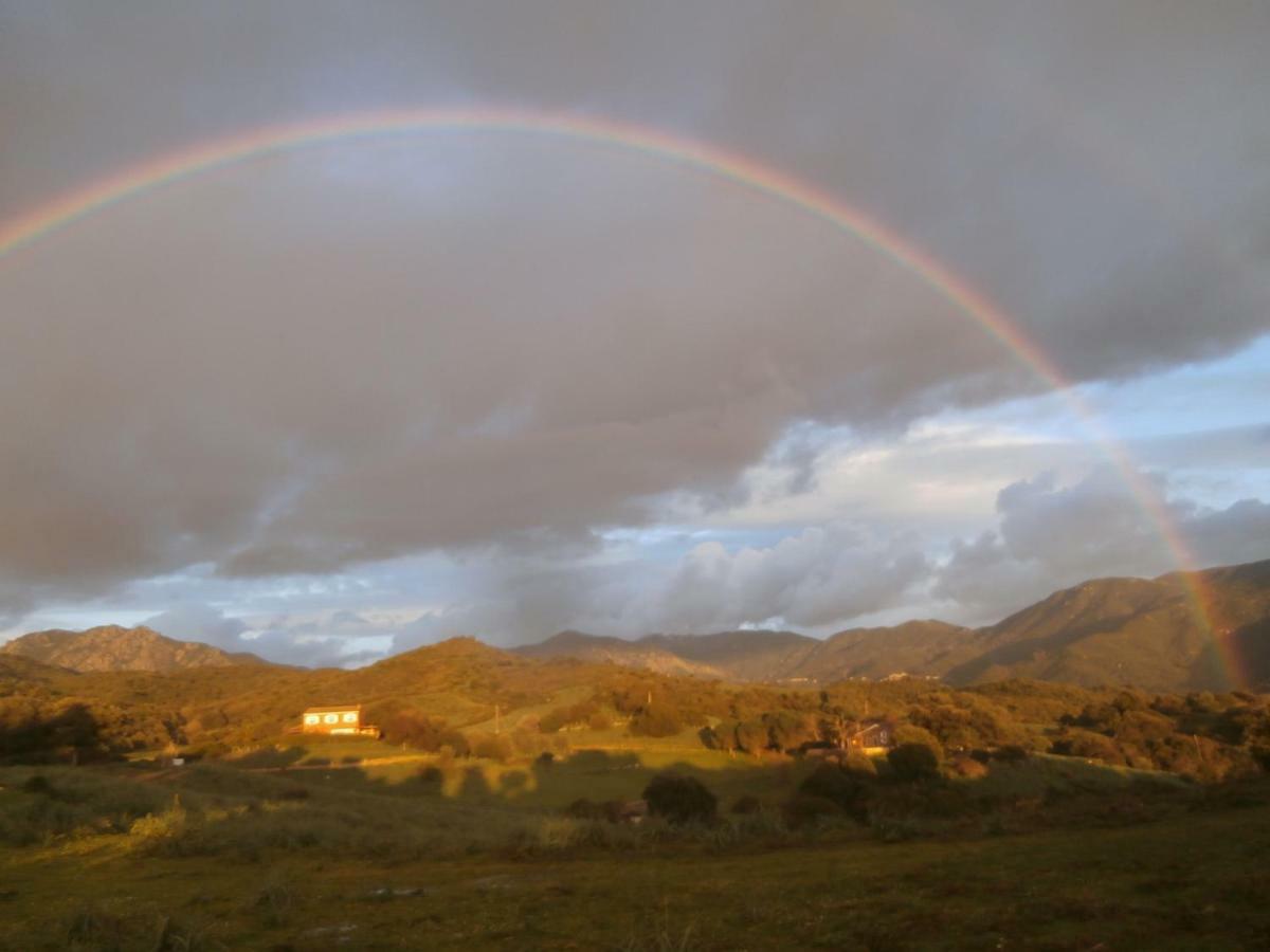 Nuit Calme Sur Domaine Leilighet Calcatoggio  Eksteriør bilde